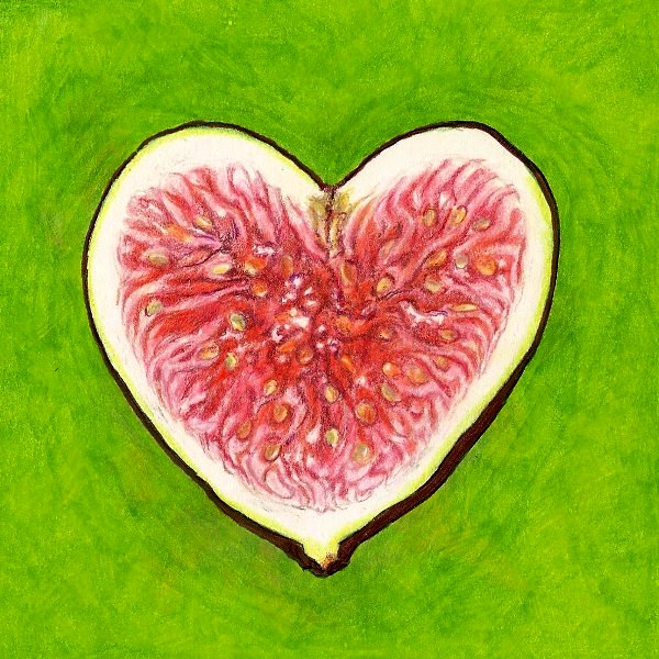 fig_heart