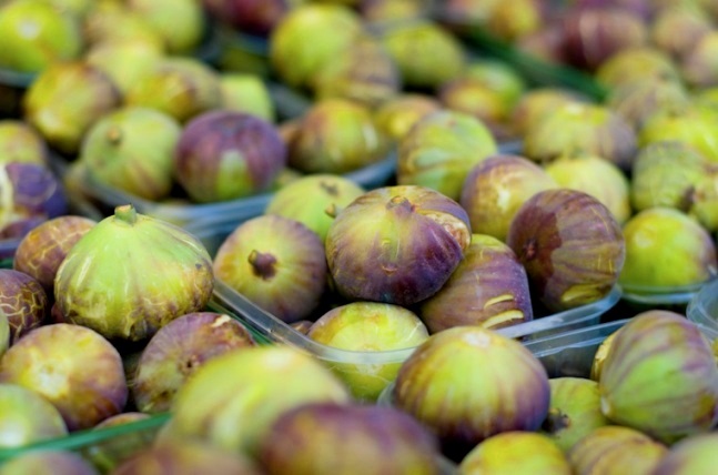 israel_figs