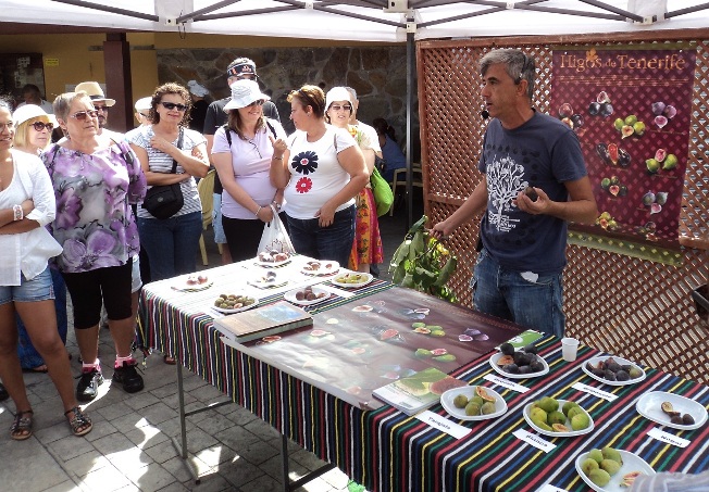 150822-Cata-de-higos-en-Mercado-del-Agricultor-de-Tegueste-11