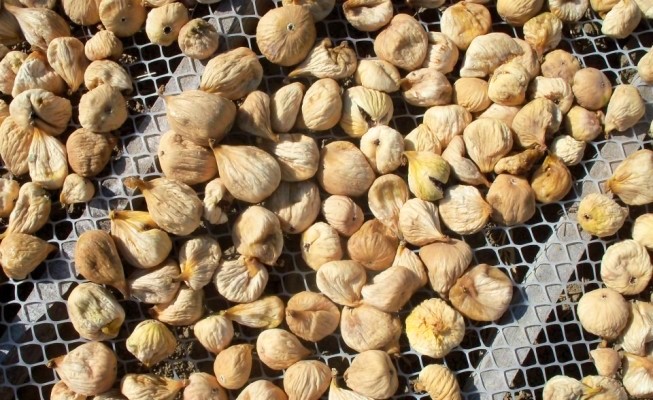 Turkish-Dried-Figs