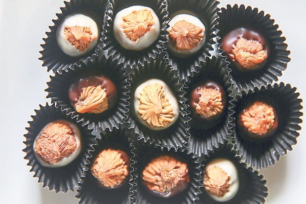 Mutiarafigs06_620_413_100