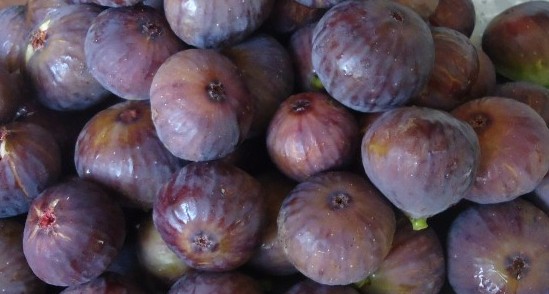 bursa figs