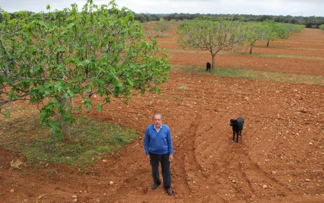 Montserrat Pons en su finca experimental de Son Mut Nou