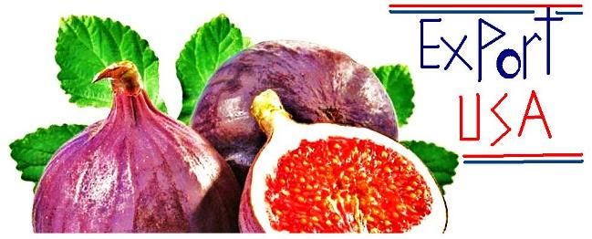 higos-export-usa
