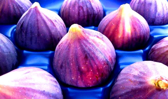 bursa-black-figs