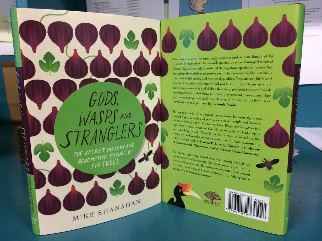 gods-wasps-and-stranglers