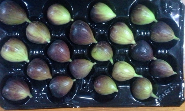 Higos y Brevas Finca La Cecilia 3