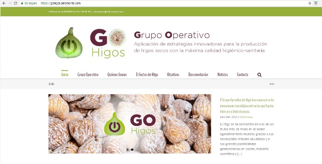 web higos