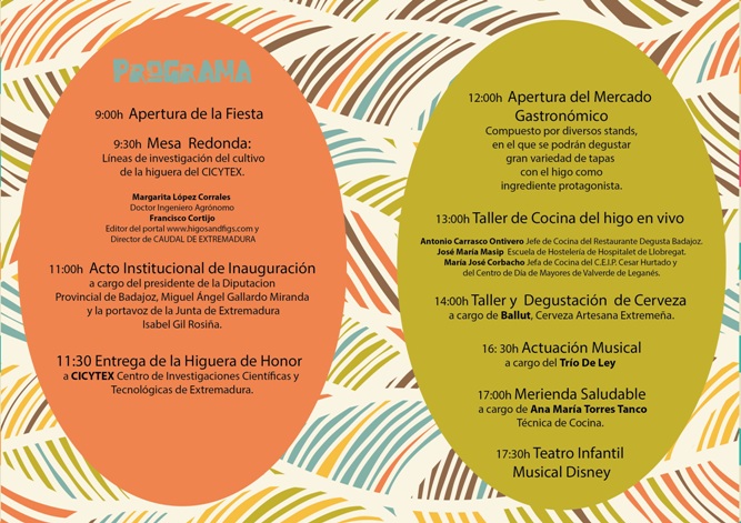 PROGRAMA FIESTA TORRE MIGUEL SESMERO