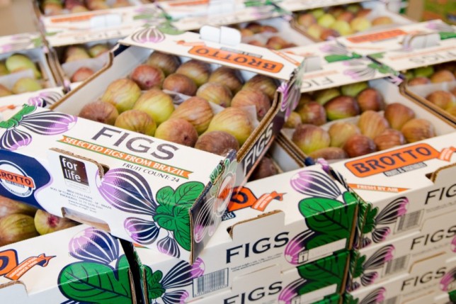 brotto figs