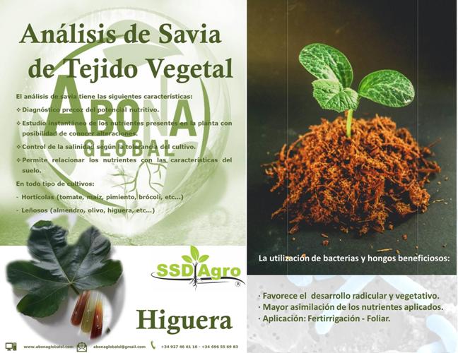 IMAGEN ARTICULO HIGOS AND FIGS 230519