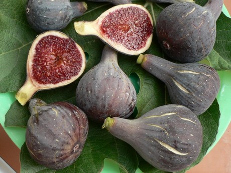 figues