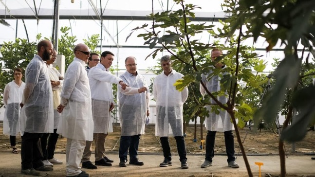 UAL-Finca-Experimental