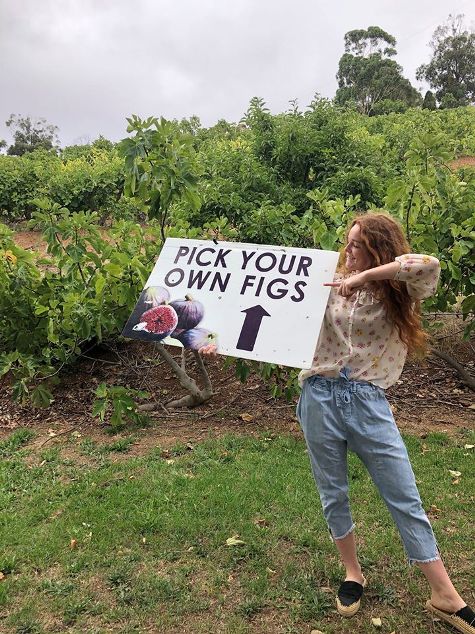 Australian-fig-grower