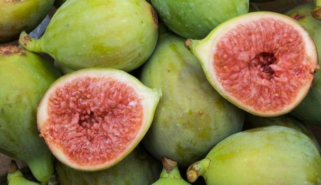 FIGS
